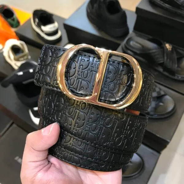 CD Belt